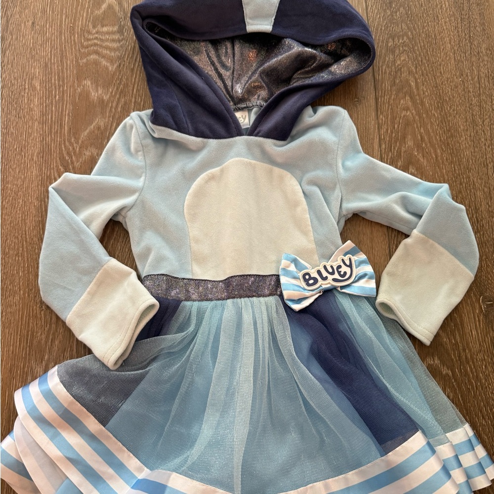 Bluey Kids Dress with Hood